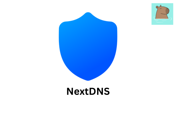 ผมย้ายจาก Pihole & Adguard มาใช้ NextDNS